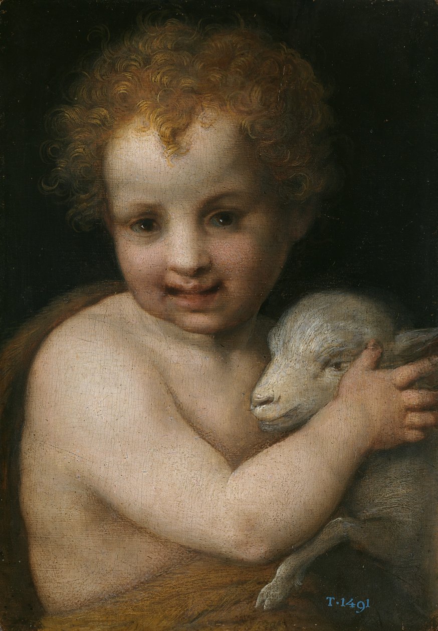 Jan Chrzciciel jako dziecko autorstwa Andrea del Sarto