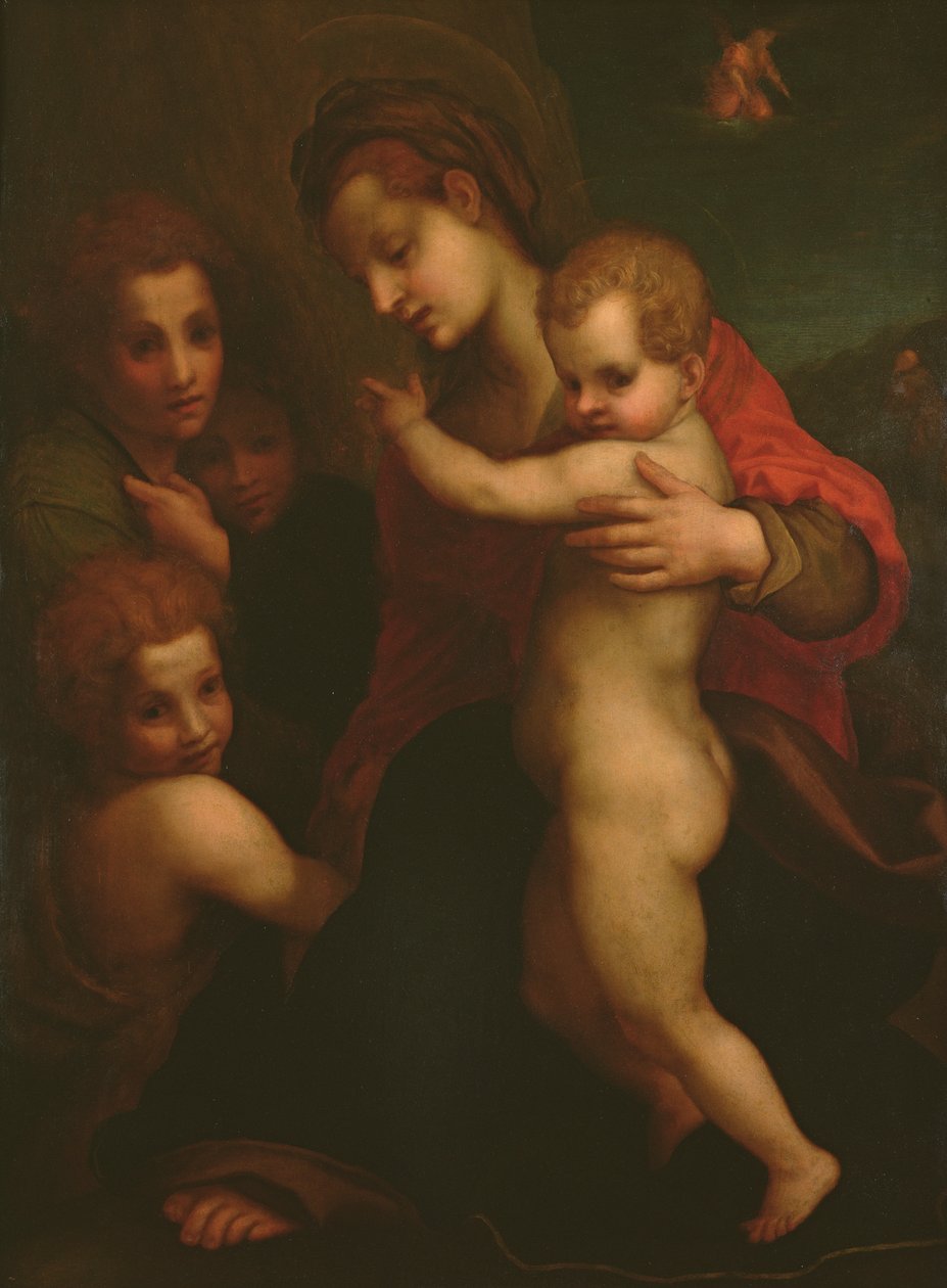Madonna z Dzieciątkiem, Św. Jan i dwa Anioły autorstwa Andrea del Sarto