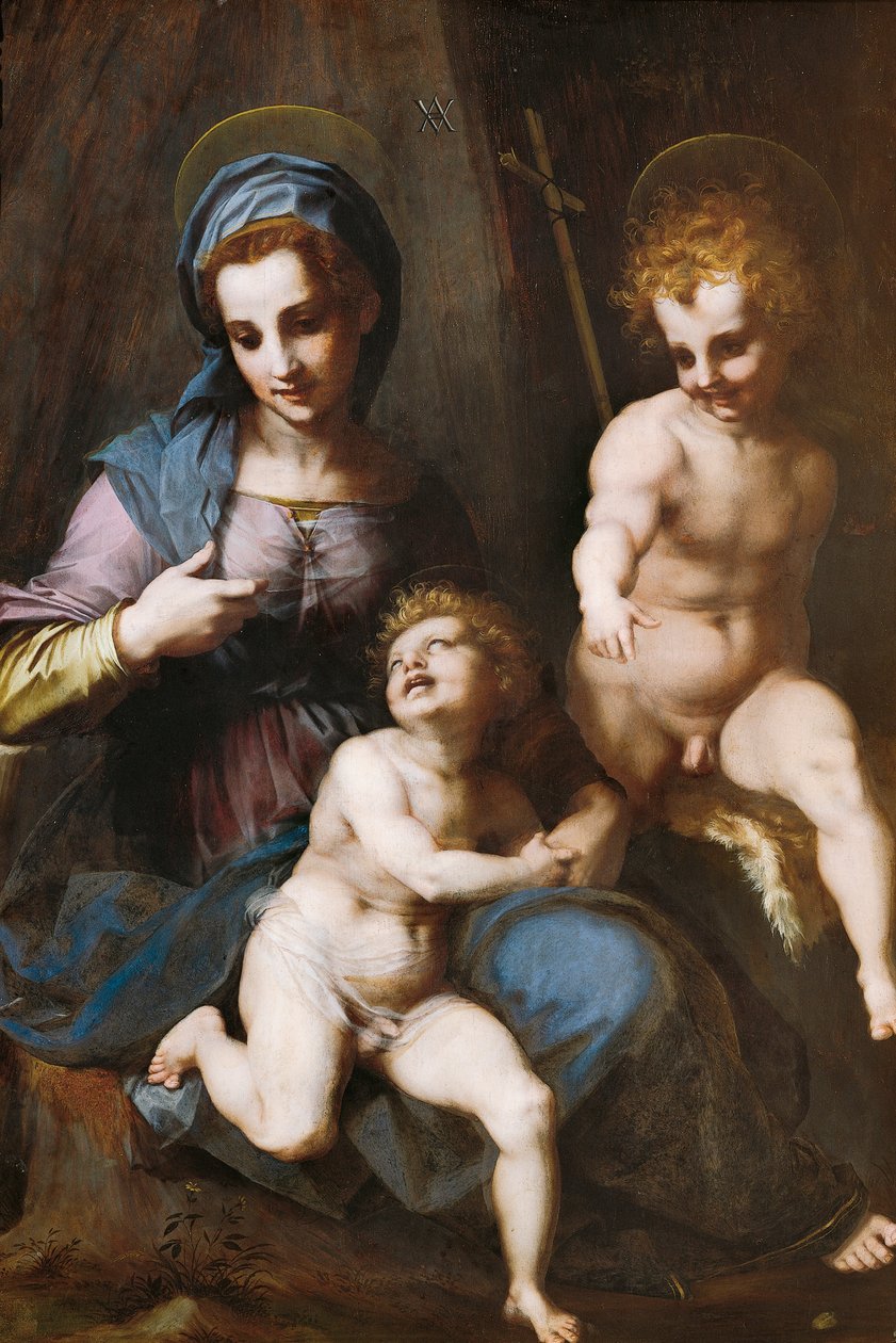 Madonna z Dzieciątkiem z Dzieciątkiem Św. Jan Chrzciciel autorstwa Andrea del Sarto