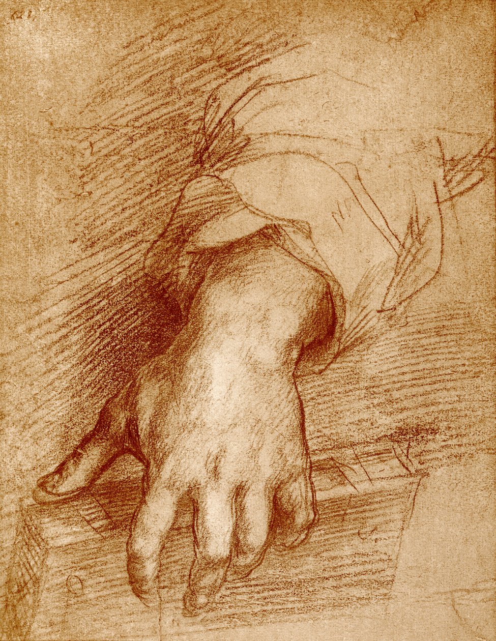 Madonna z książką w ręku autorstwa Andrea del Sarto