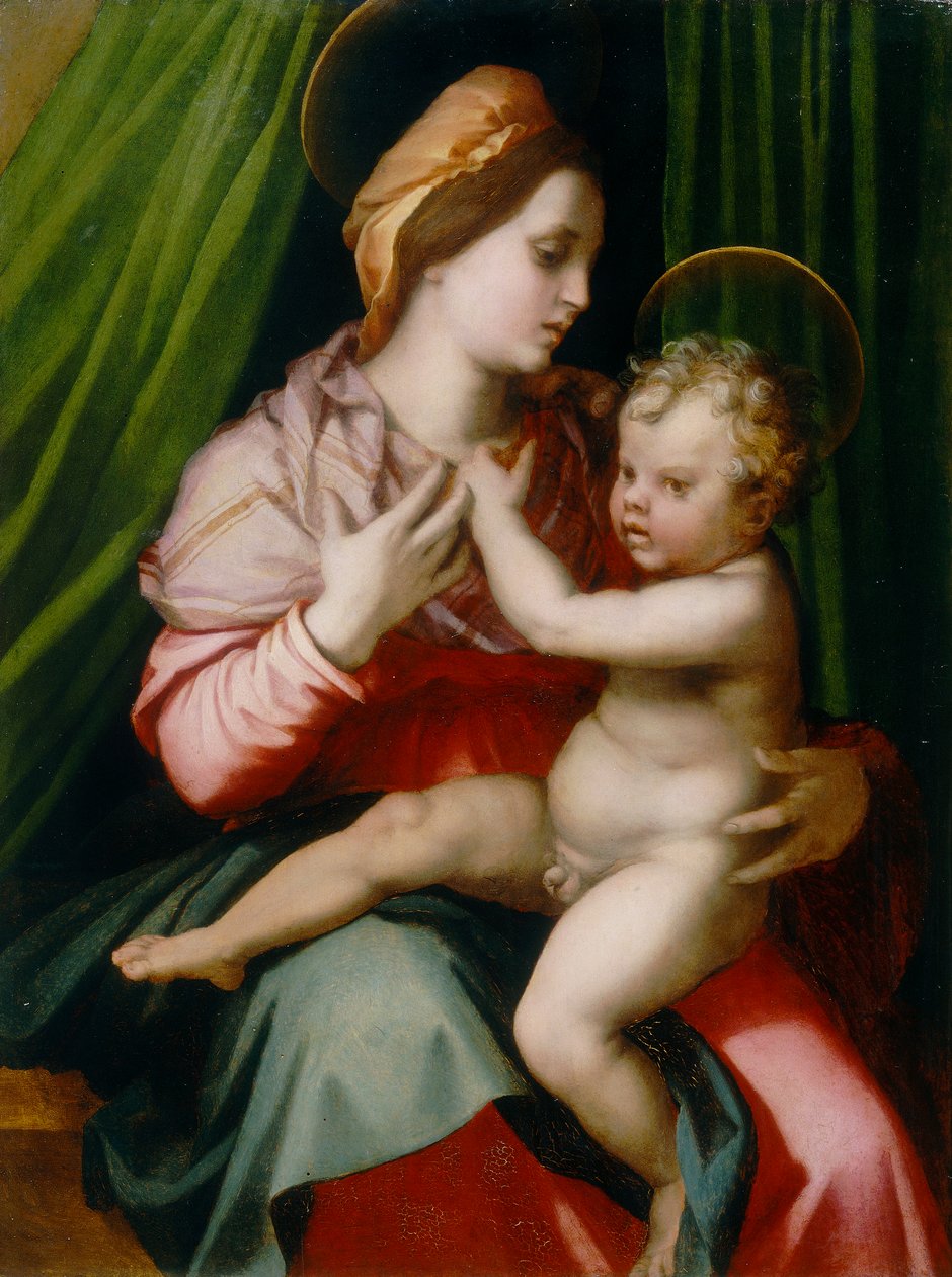 Madonna z Dzieciątkiem, obraz Andrei del Sarto, przechowywany w Galerii Palatyńskiej w Pałacu Pitti we Florencji autorstwa Andrea del Sarto
