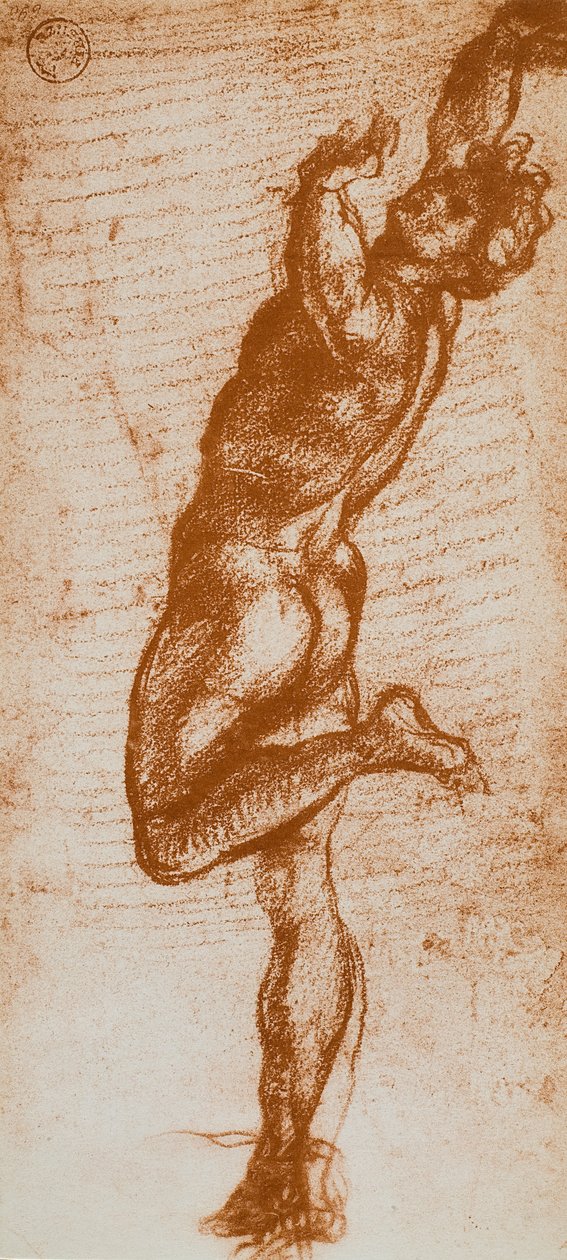 Postać męska, rys. Andrea del Sarto. Gabinet Rysunków i Grafiki, Galeria Uffizi, Florencja autorstwa Andrea del Sarto