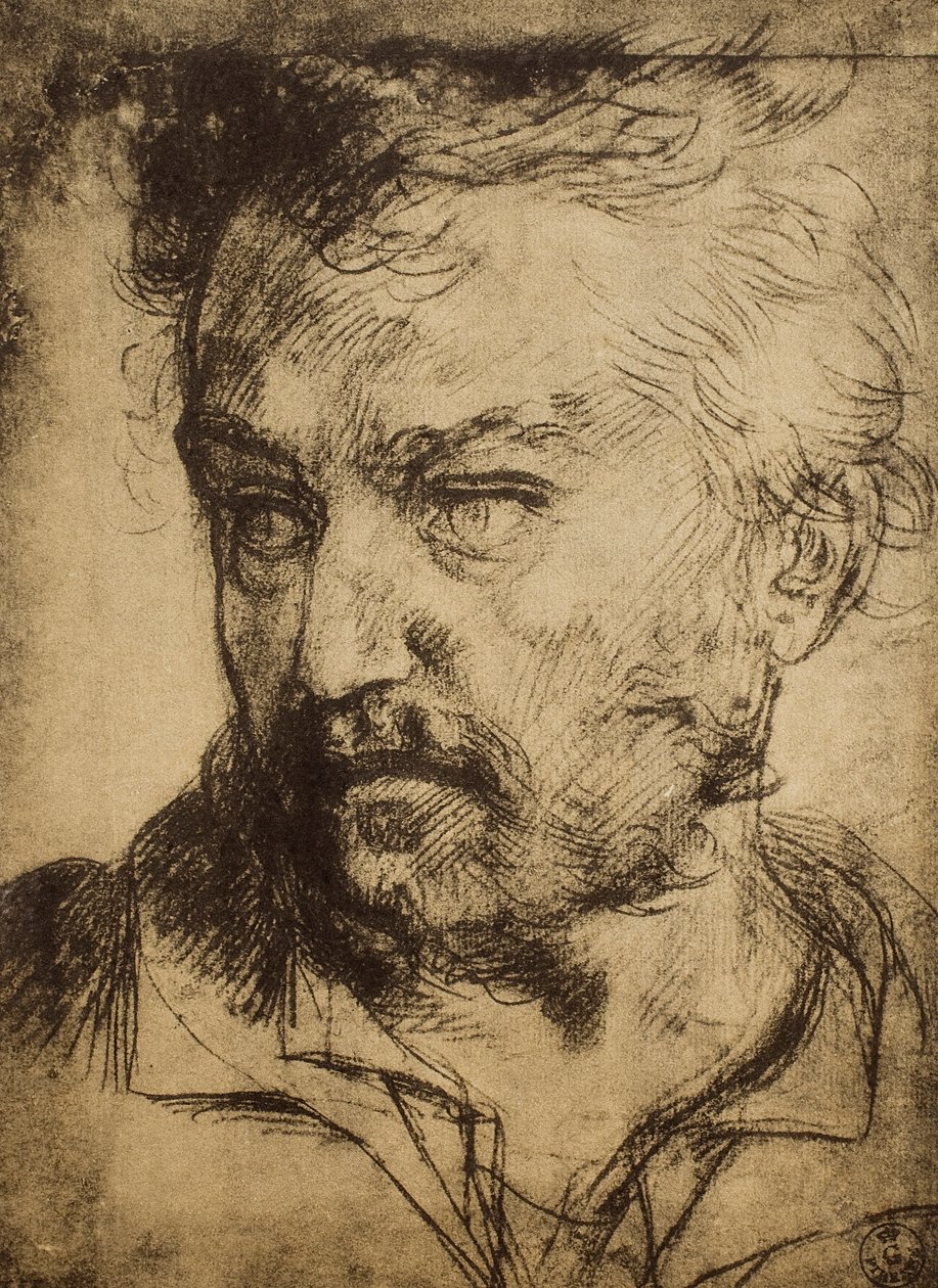 Głowa mężczyzny; rysunek autorstwa Andrei del Sarto. Gabinet Rysunków i Grafiki, Galeria Uffizi, Florencja autorstwa Andrea del Sarto