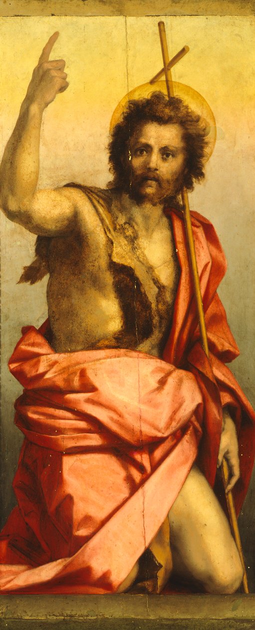 Obraz św. Jana Chrzciciela (olej na desce) autorstwa Andrea del Sarto