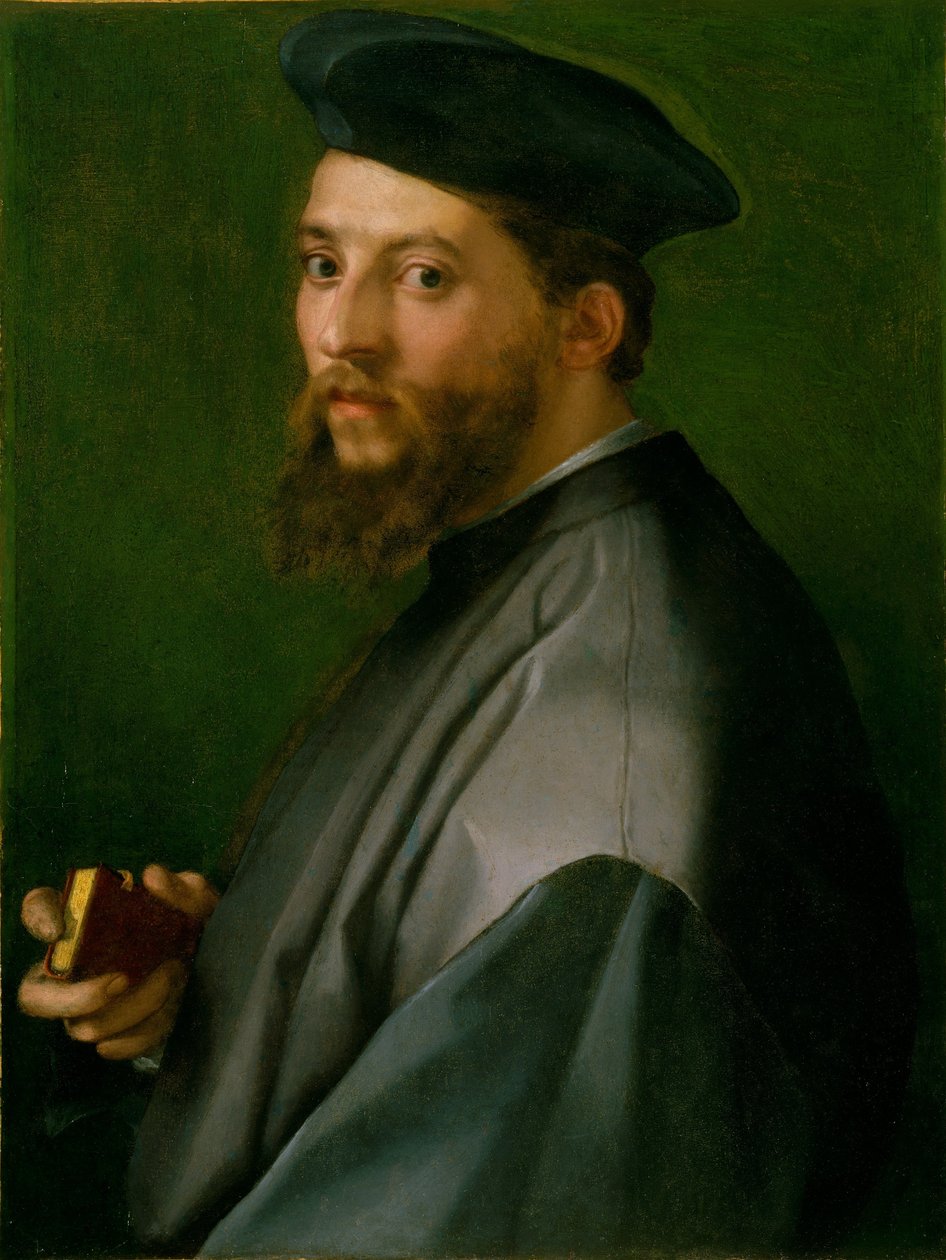 Portret mężczyzny autorstwa Andrea del Sarto