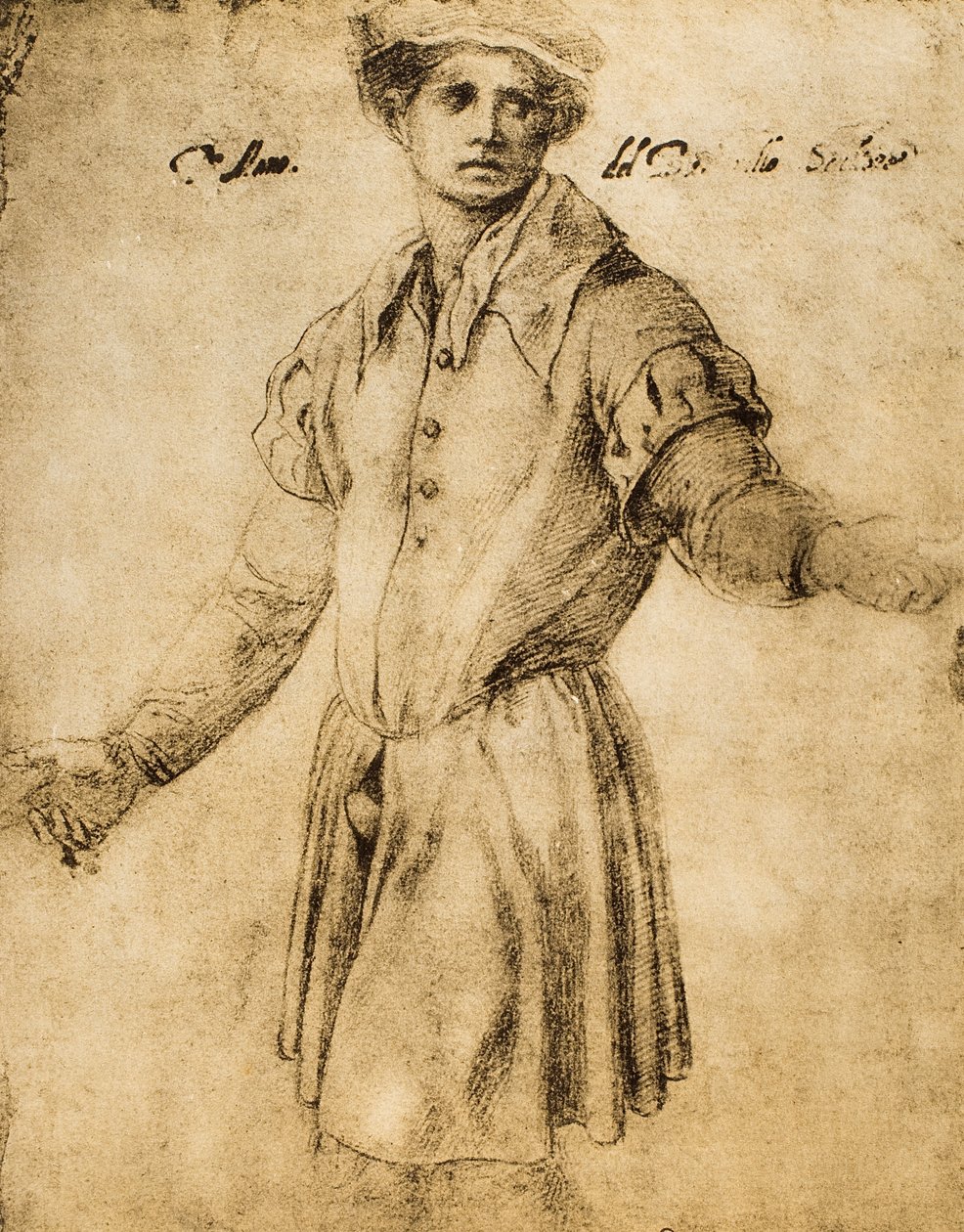Portret młodego Florentine autorstwa Andrea del Sarto