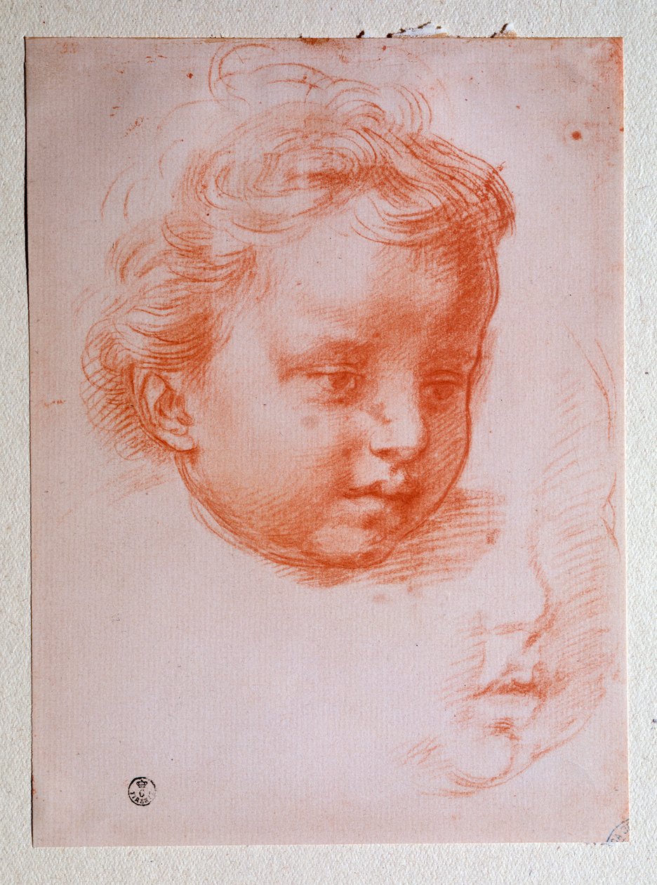 Głowa Putto (Rysunek autorstwa Andrea del Sarto