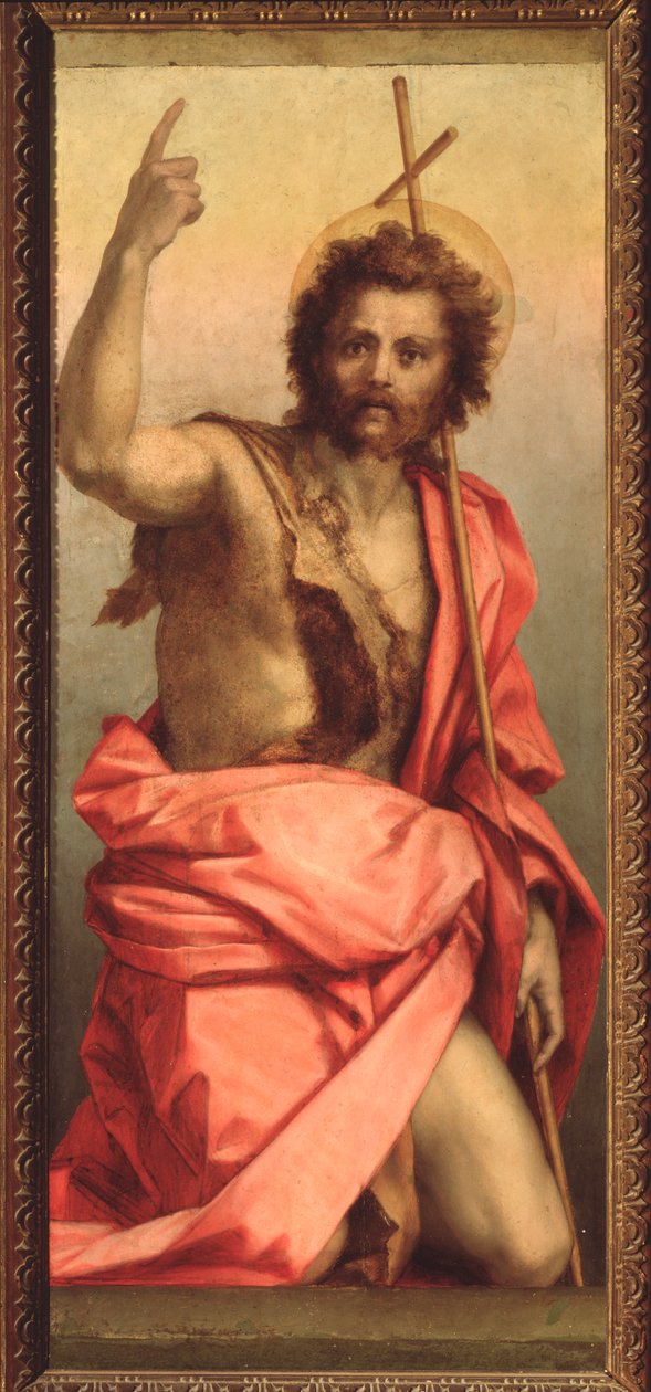 Św. Jan Chrzciciel, Ołtarz św. Agnieszki (Malarstwo, 1525-1528) autorstwa Andrea del Sarto