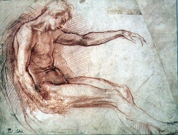 Siedzący mężczyzna akt (czerwona kreda na papierze) autorstwa Andrea del Sarto