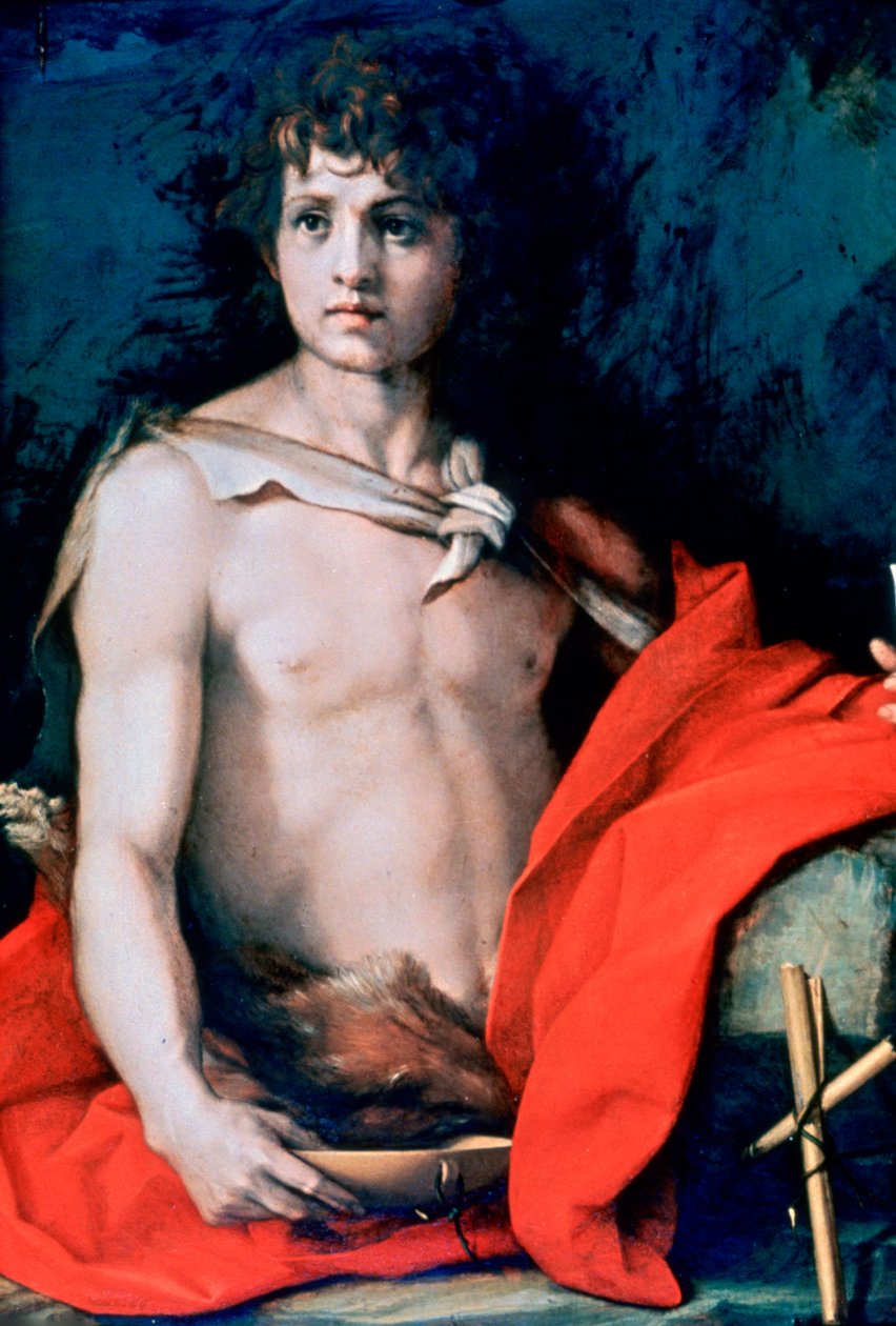 „Św. Jan Chrzciciel”, c1506-1530 autorstwa Andrea del Sarto