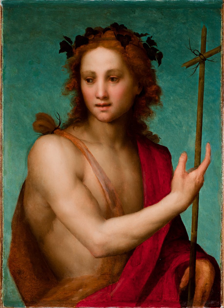 Św. Jan Chrzciciel, ok. 1517 (olej na desce przeniesiony na płótno) autorstwa Andrea del Sarto