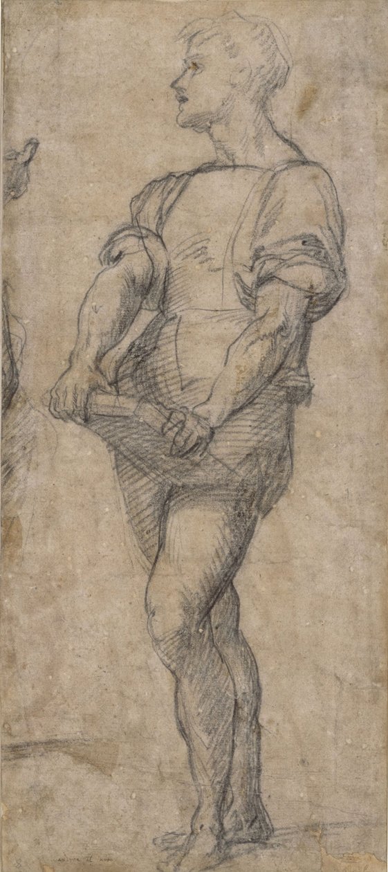 Stojąca młodzież z książką, ok. 1515 autorstwa Andrea del Sarto