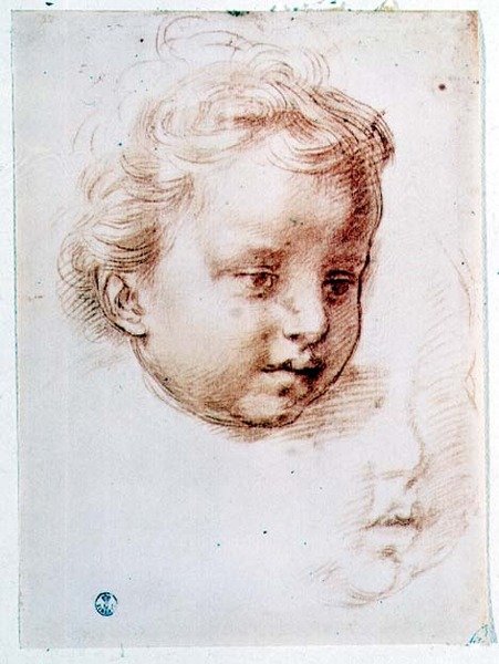 Studium głowy dziecka (kreda na papierze) autorstwa Andrea del Sarto