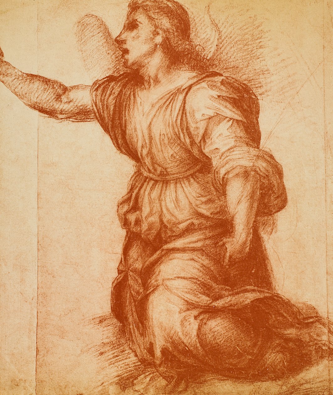 Studium Anioła, rysunek Andrei del Sarto wykonany dla Zwiastowania, obecnie mieszczący się w Galerii Palatina. Gabinet Rysunków i Grafiki, Galeria Uffizi, Florencja autorstwa Andrea del Sarto
