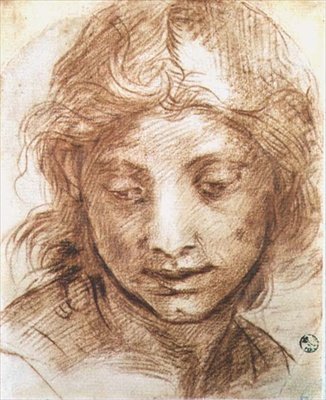 Studium głowy młodej kobiety (kreda) autorstwa Andrea del Sarto