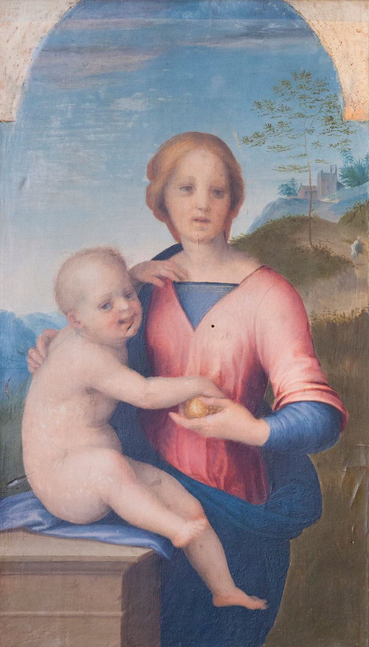 Dziewica z Dzieciątkiem (olej na drewnie) autorstwa Andrea del Sarto