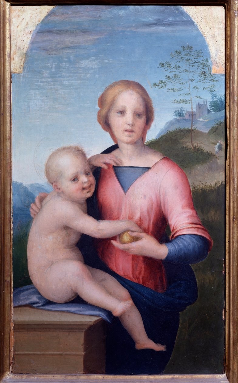 Dziewica z dzieckiem (Malarstwo autorstwa Andrea del Sarto