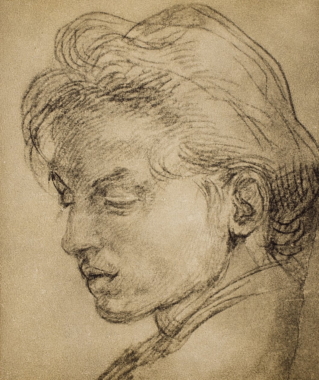 Męska głowa z profilu autorstwa Andrea del Sarto