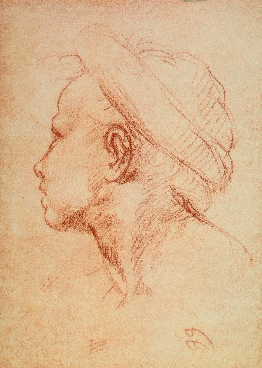 Młodzież kieruje z profilu autorstwa Andrea del Sarto