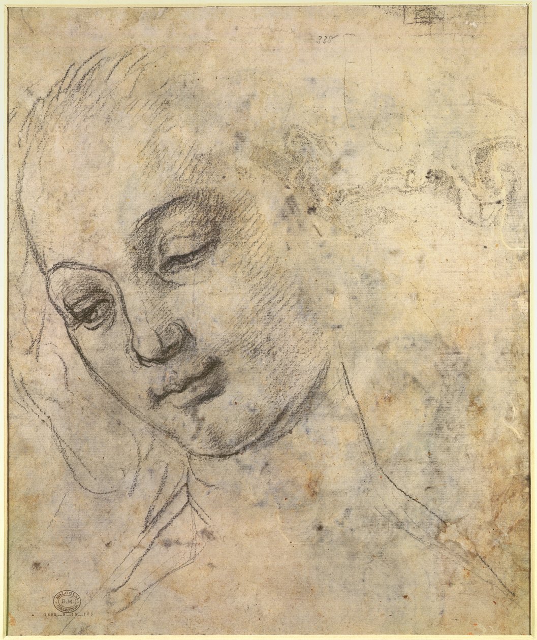 Portret kobiecej głowy (czarna kreda na papierze) autorstwa Andrea del Verrocchio