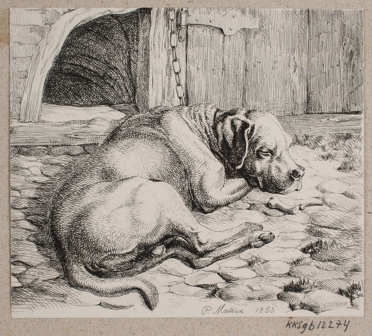 Śpiący pies łańcuchowy autorstwa Andreas Peter Madsen
