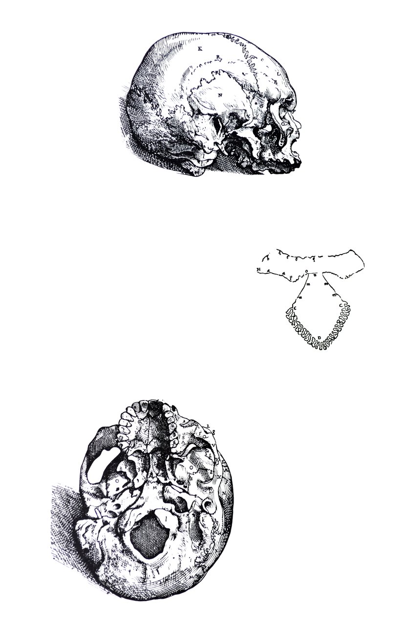 Płyty z I Księgi De Humani Corporis Fabrica autorstwa Andreas Vesalius