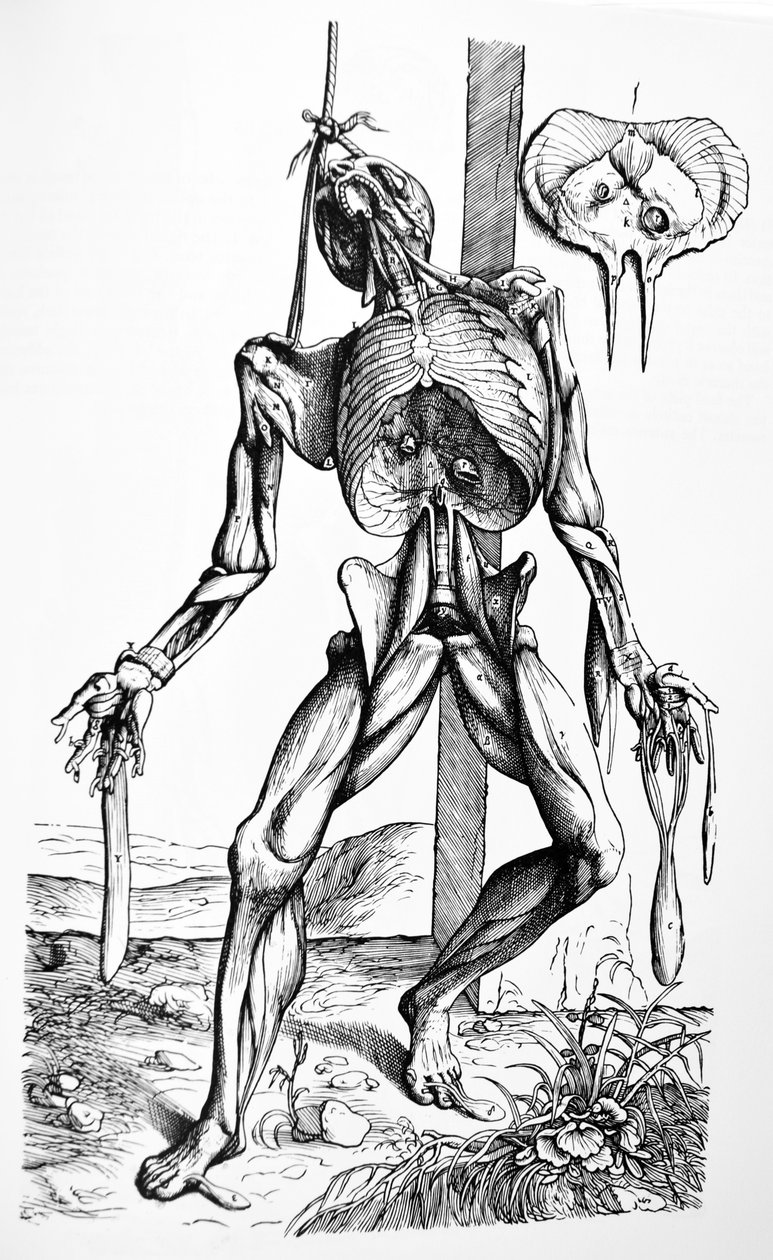 Tabliczki z drugiej księgi De Humani Corporis Fabrica autorstwa Andreas Vesalius