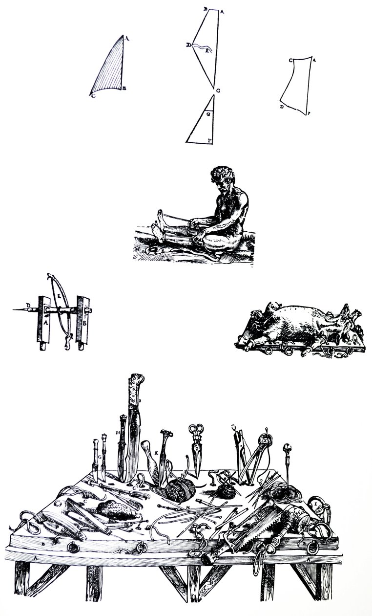 Płyty z II Księgi De Humani Corporis Fabrica autorstwa Andreas Vesalius