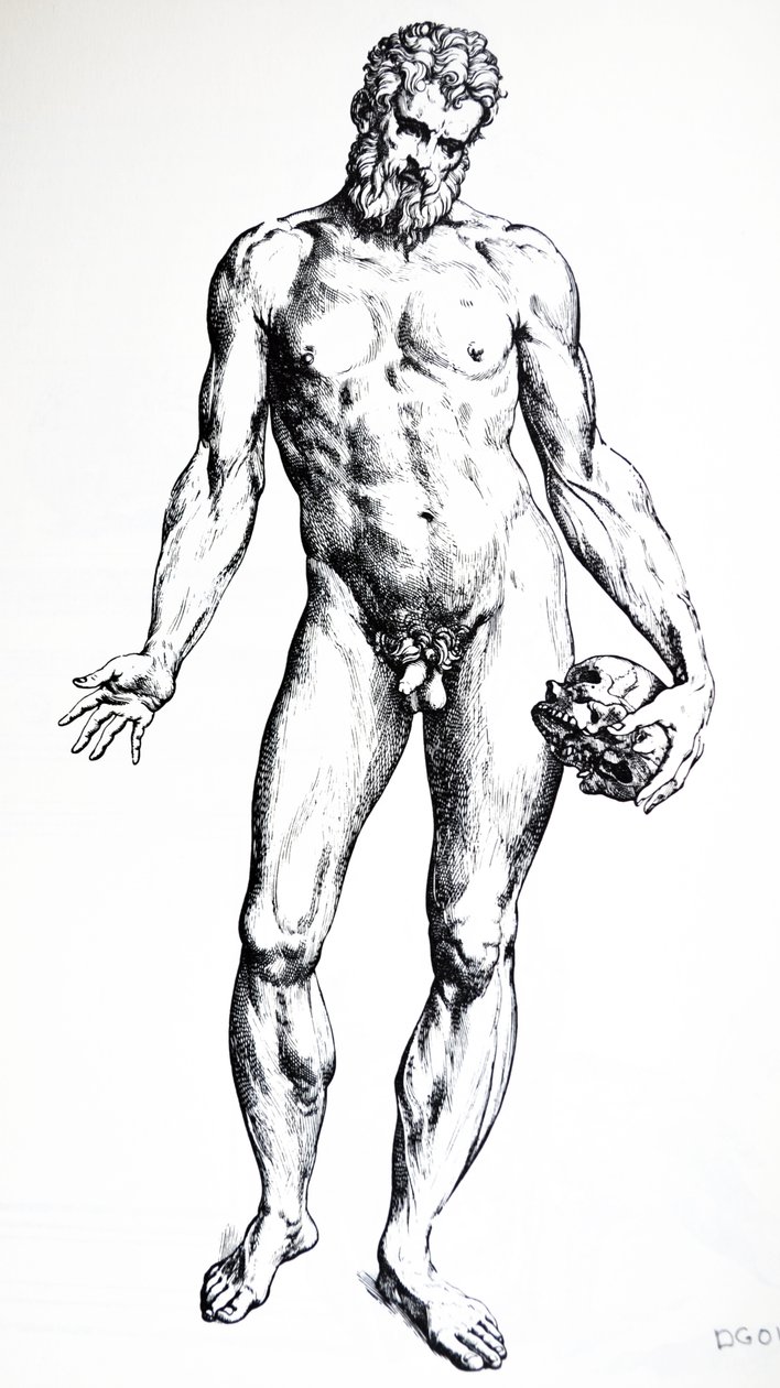 Płyty z siódmej księgi De Humani Corporis Fabrica autorstwa Andreas Vesalius