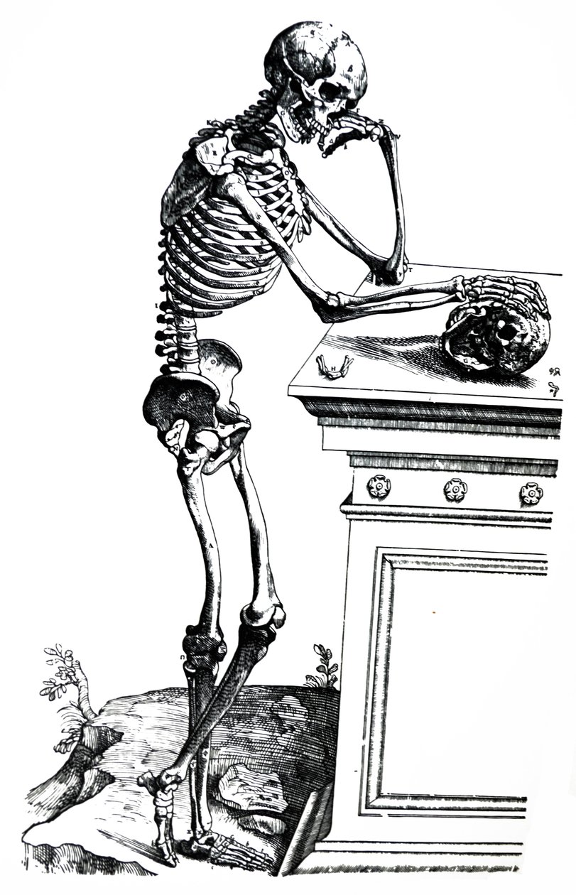 Płyty z siódmej księgi De Humani Corporis Fabrica autorstwa Andreas Vesalius