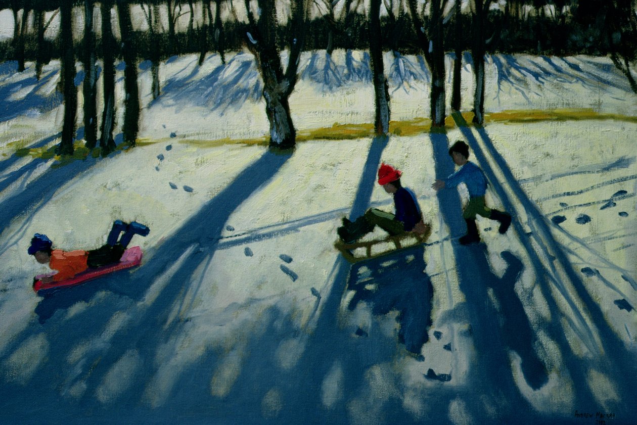 Chłopcy na sankach, Allestree Park, Derby autorstwa Andrew Macara