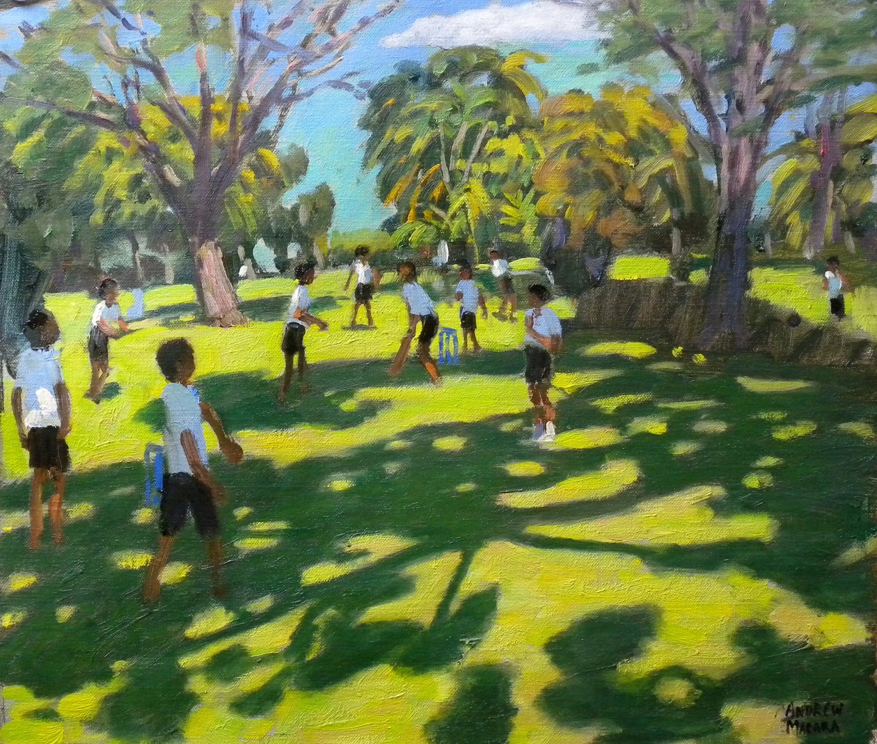 Krykiet, 2011 autorstwa Andrew Macara