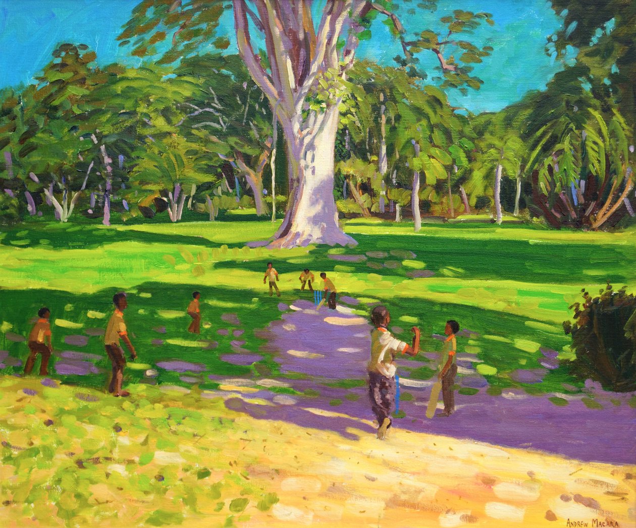 Mecz krykieta, Ogrody Botaniczne, Dominika, Grenadyny.2011, autorstwa Andrew Macara