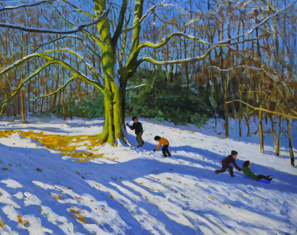 Detal góry Allestree Park, 2014, olej na płótnie autorstwa Andrew Macara