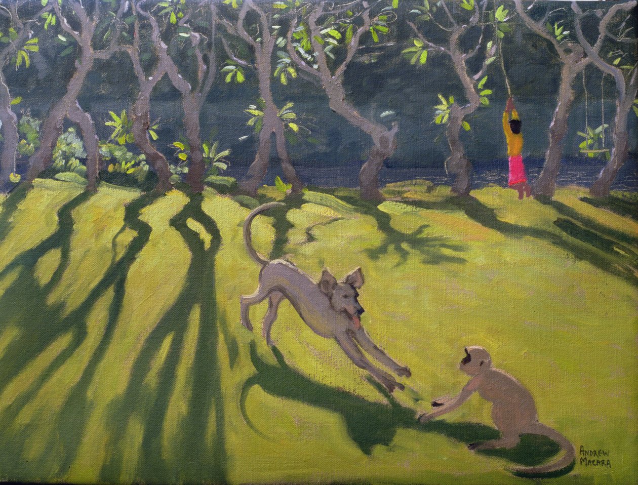 Pies i Małpa, Sri Lanka, 1998 autorstwa Andrew Macara