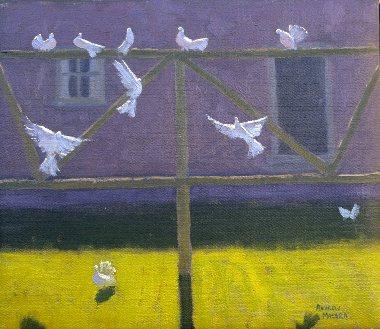 Gołębie, 1999 autorstwa Andrew Macara