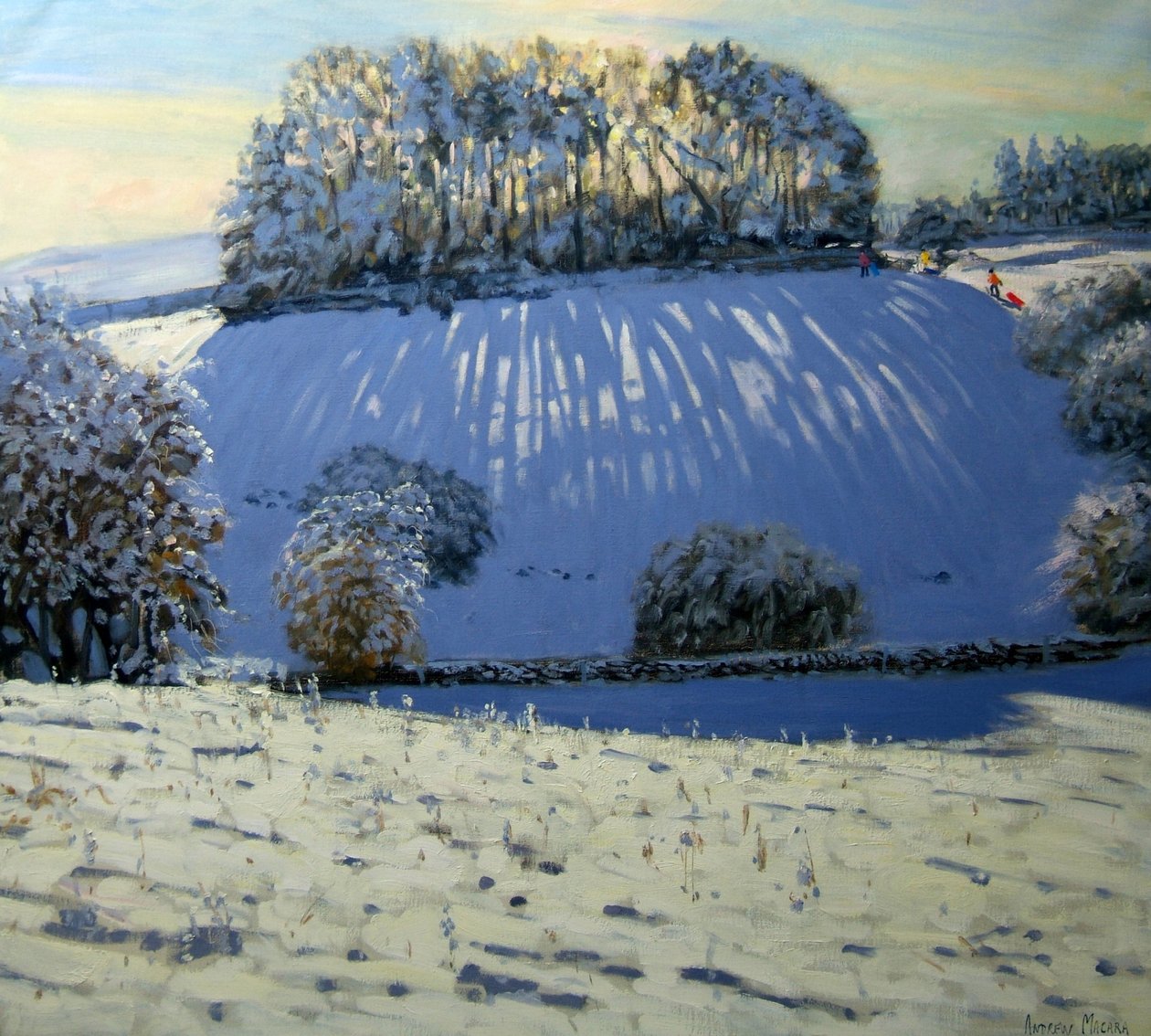 Pole cieni, niedaleko Youlgrave, Derbyshire autorstwa Andrew Macara
