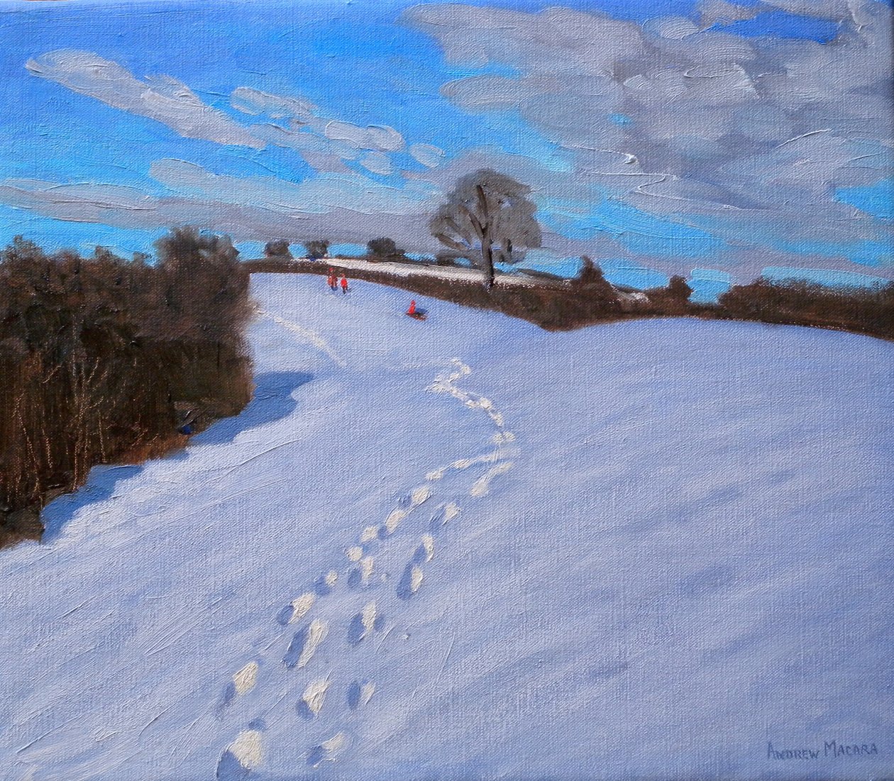 Ślady stóp na śniegu, 2009 autorstwa Andrew Macara