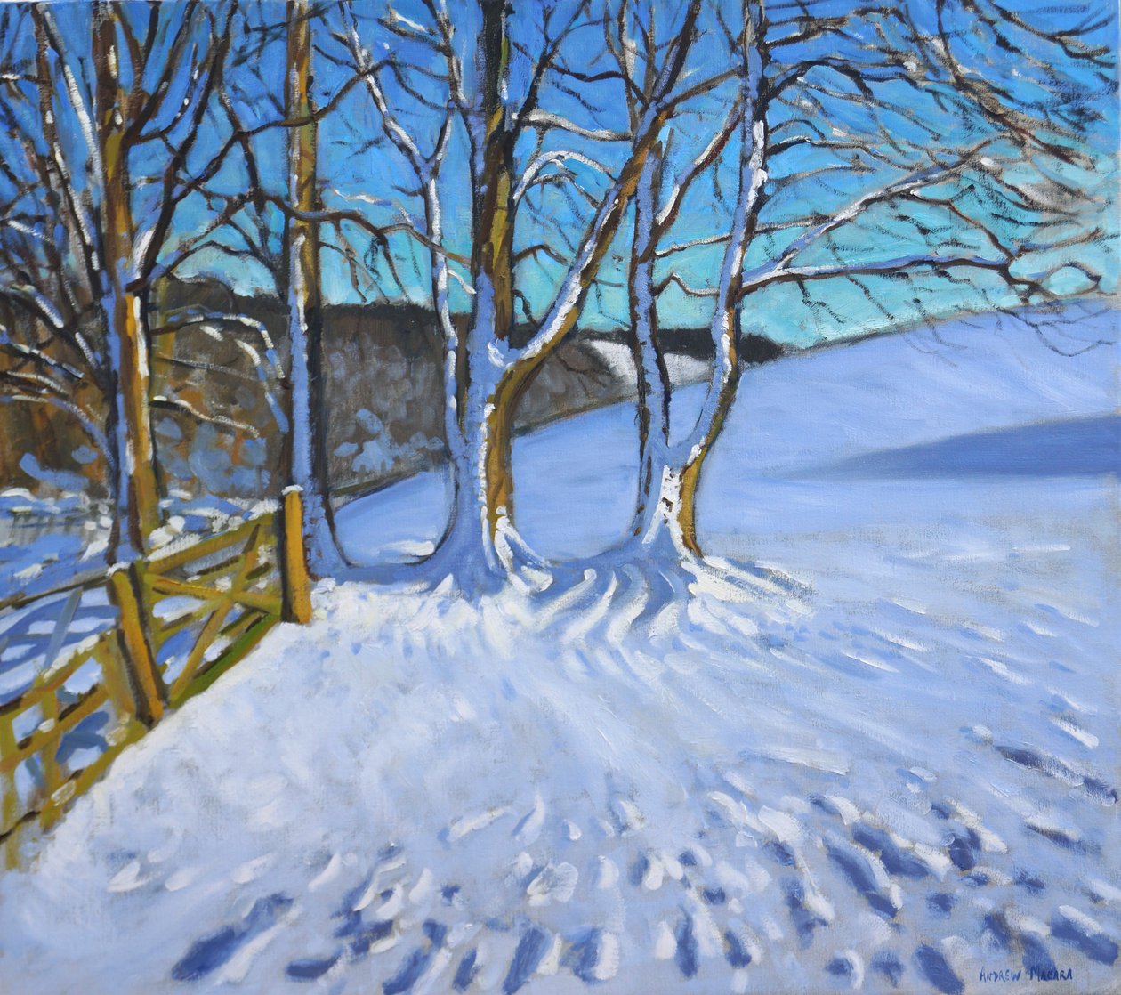 Brama i drzewa, zima, Dam Lane, Derbyshire, 2013, autorstwa Andrew Macara