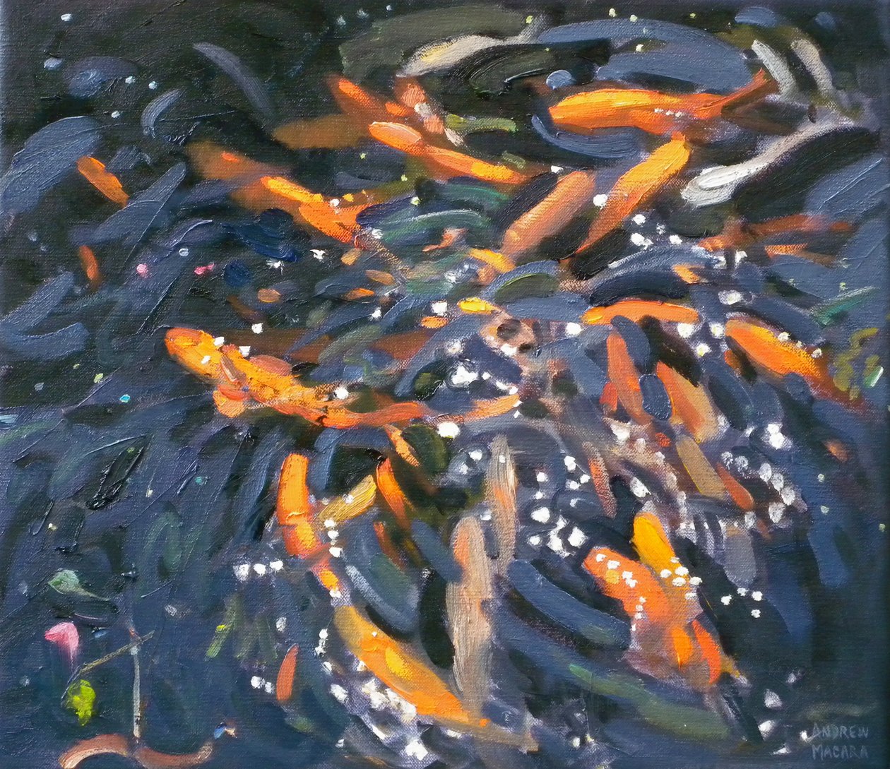 Złota rybka, 2010 autorstwa Andrew Macara