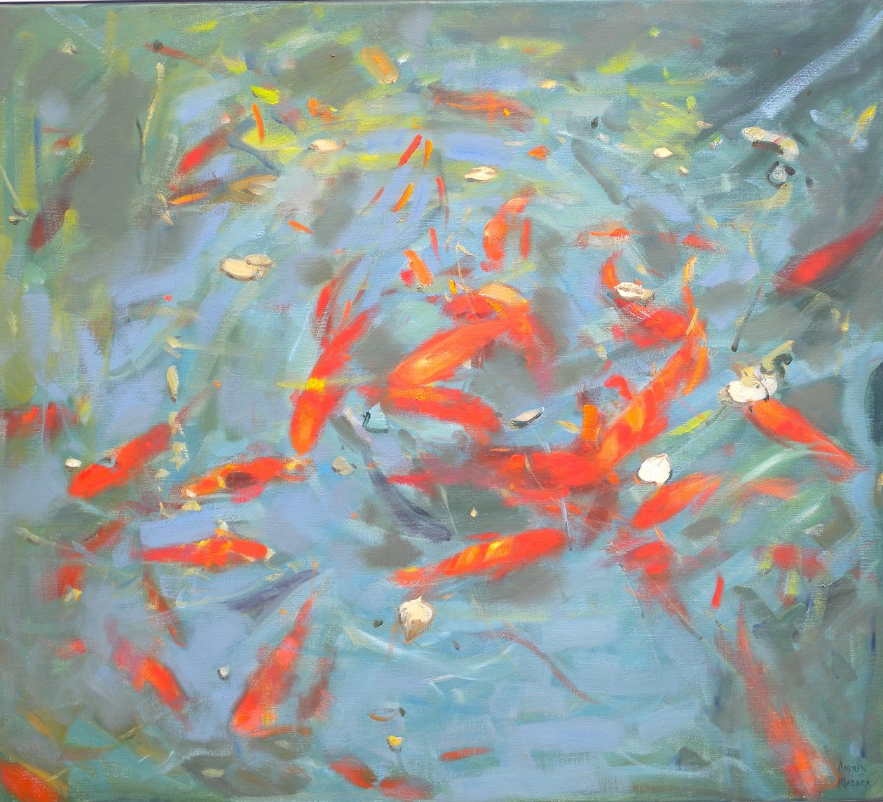 Złota rybka, 2010, autorstwa Andrew Macara