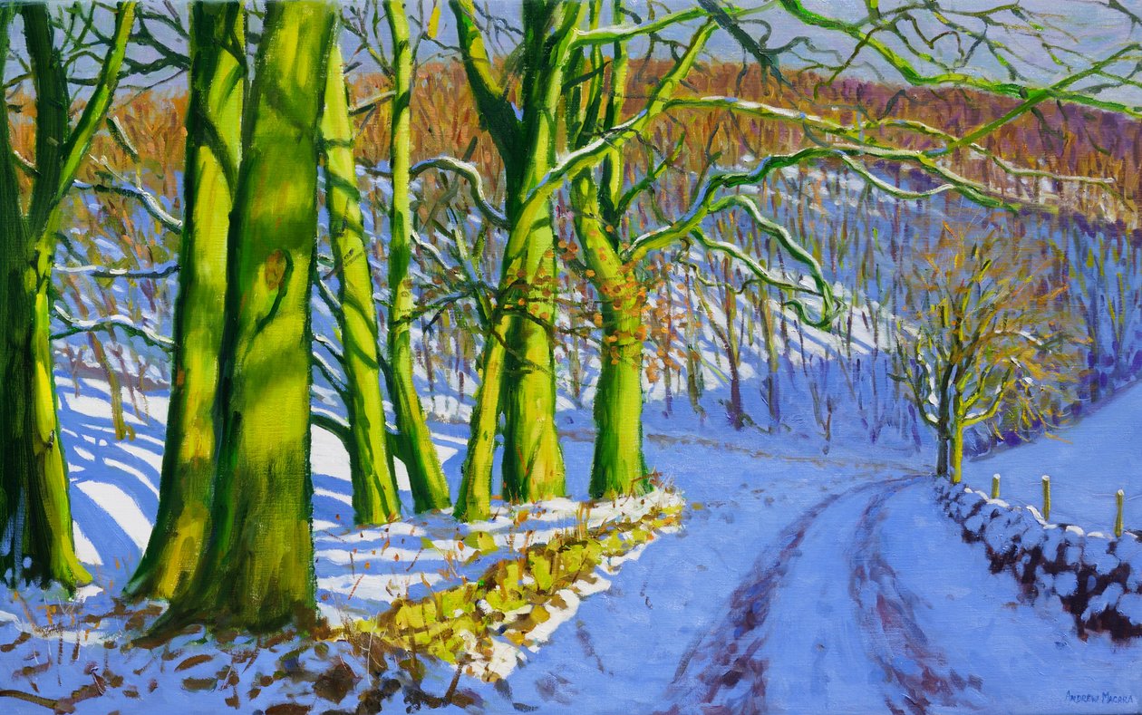 zielone drzewa, zima; Dam Lane; Derbyshire, autorstwa Andrew Macara