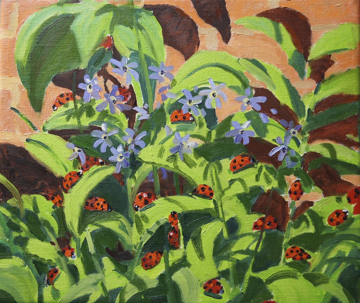 Biedronki, 2013 autorstwa Andrew Macara
