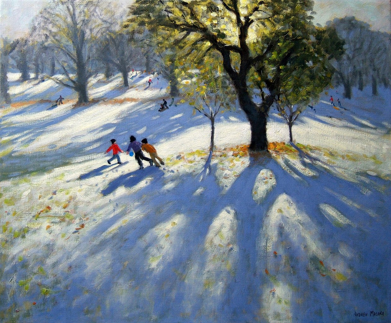 Markeaton Park, wczesny śnieg autorstwa Andrew Macara