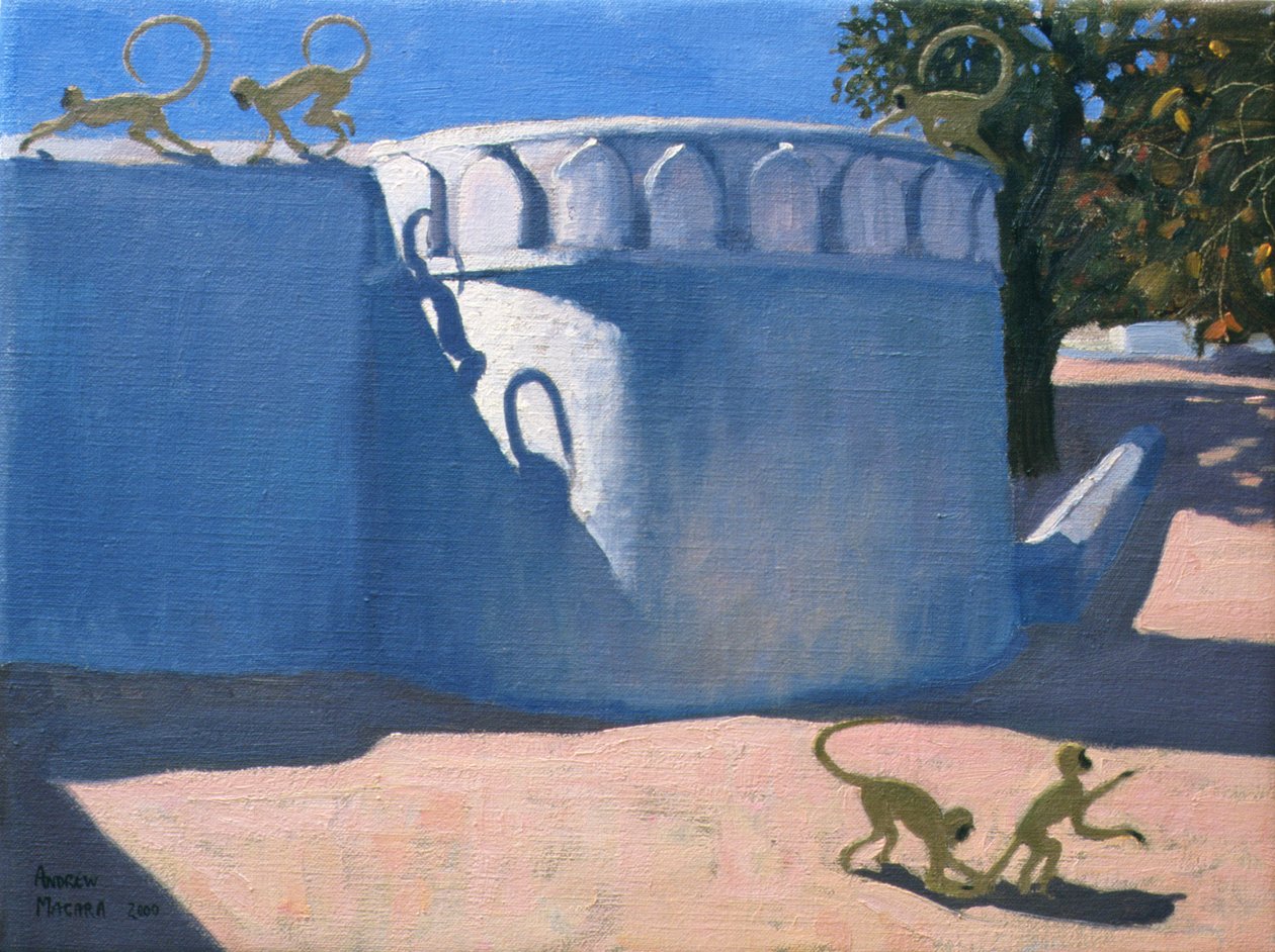 Świątynia Małp, Indie, 2000 autorstwa Andrew Macara
