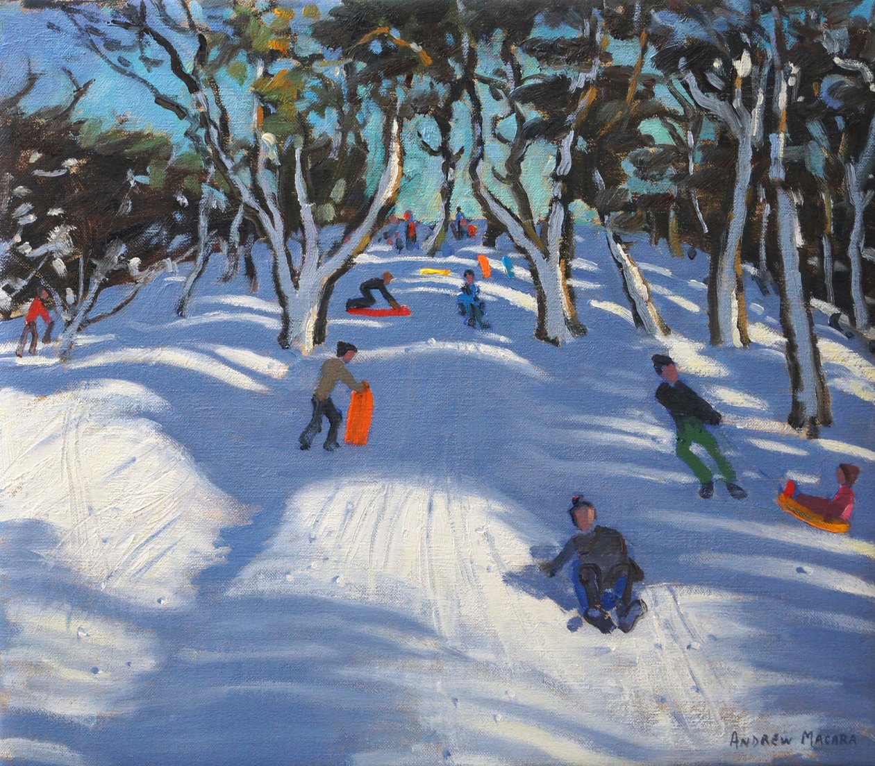 Jazda na sankach w Ladmanlow, 2012 autorstwa Andrew Macara
