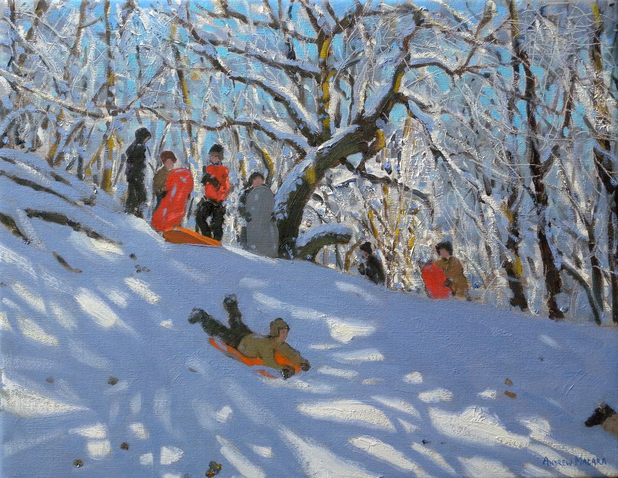 Jazda na sankach w Allestree Woods, 2011 autorstwa Andrew Macara