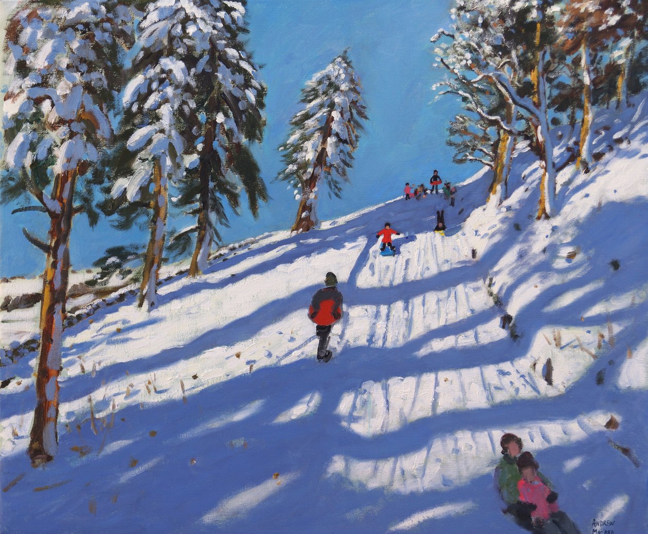 Sanki, Hillside, Glossop, 2015 , autorstwa Andrew Macara