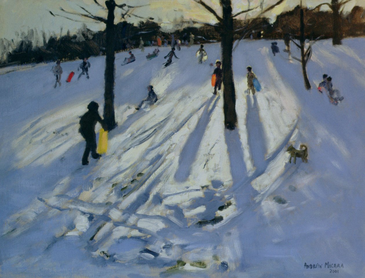 Śnieg, Rykneld Park, Derby, 2001 autorstwa Andrew Macara