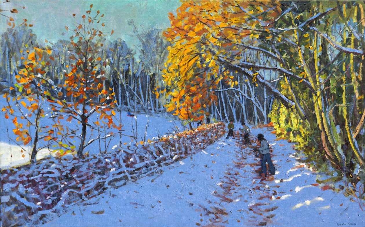 Snowballing, Allestree Park, Derby, 2014 autorstwa Andrew Macara